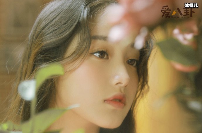 创造营选手姜贞羽因病退赛