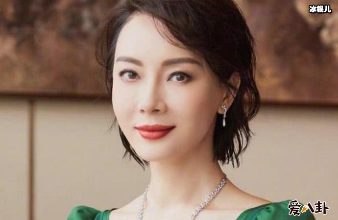 斯黛拉扮演陈数