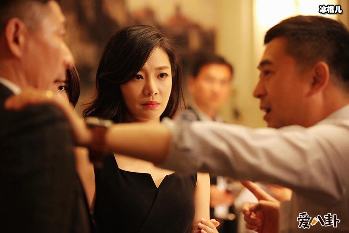 王维维与张嘉译