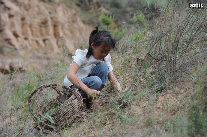 孤女继承百万遗产