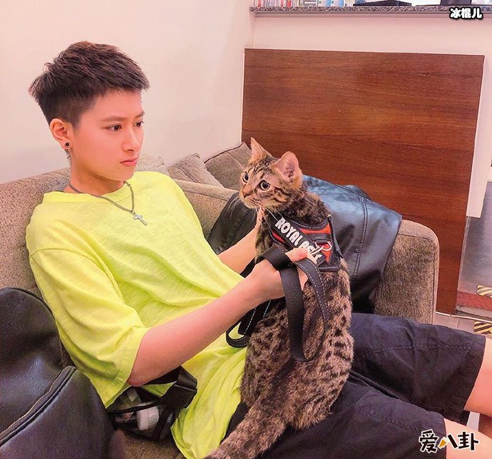 落跑甜心女主郑靓歆现状