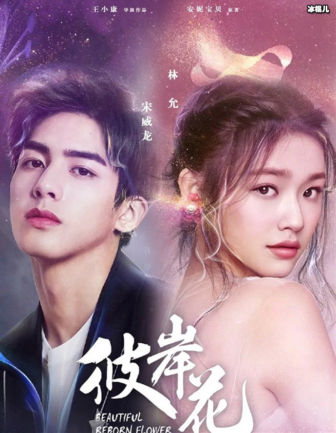 彼岸花讲什么故事