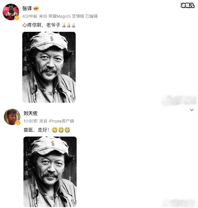张译发文悼念罗京民