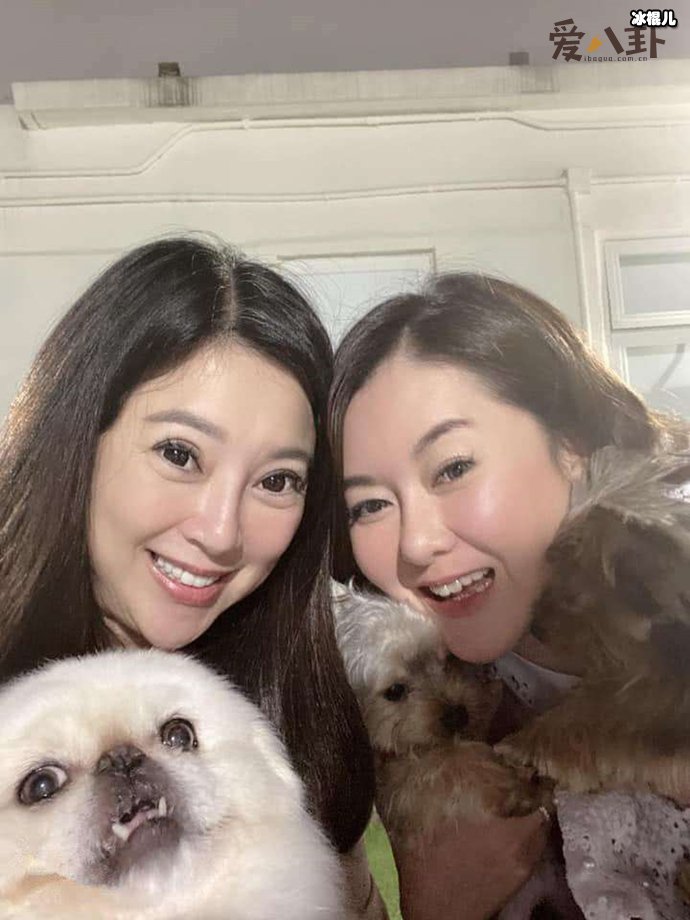 香港小姐陈淑兰