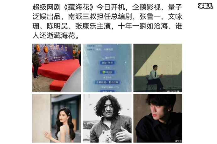 网剧藏海花主演阵容