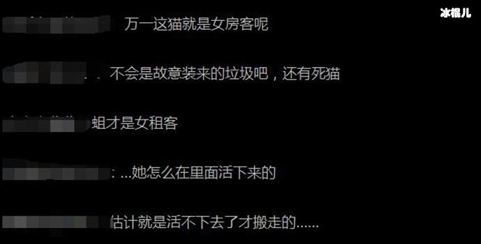 房内甚至有一只死猫