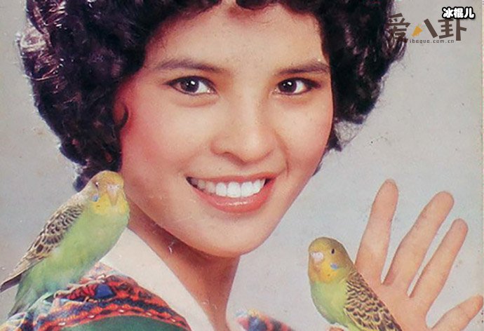 林珍奇狄龙的关系