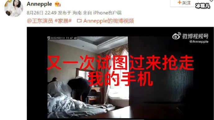 演员王东被妻子控诉家暴