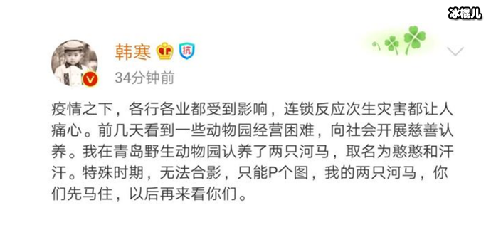 韩寒认养河马分别起了名字
