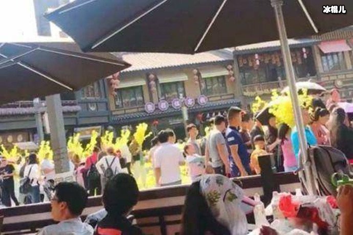 游客哄抢展览花