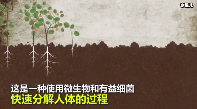 人类遗体堆肥葬动画图解