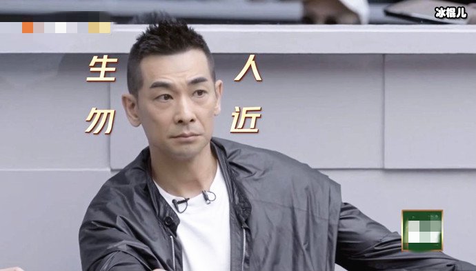 赵文卓披荆斩棘照片