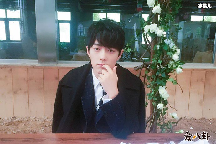 肖战我不需要应援是怎么回事