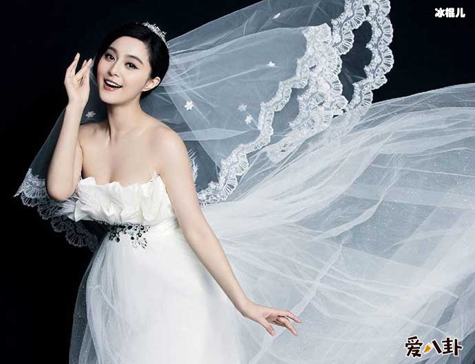 范冰冰名誉案胜诉