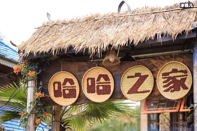 《羽你同行》哈哈之家的其他“家人”怎么看