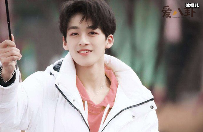 何洛洛为使用盗版软件道歉