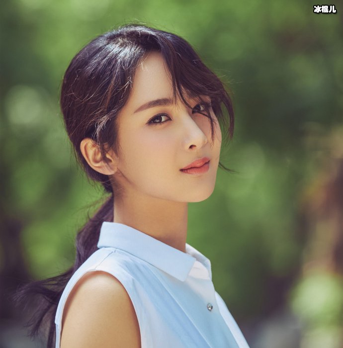 杨紫工作室就抄袭道歉