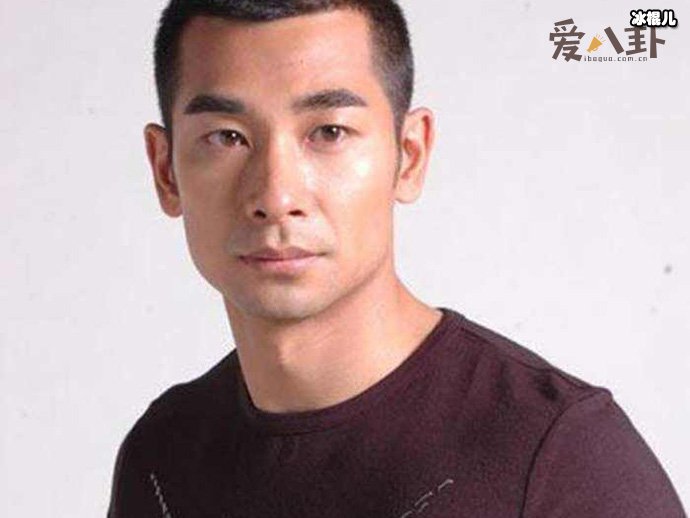 赵文卓甄子丹关系