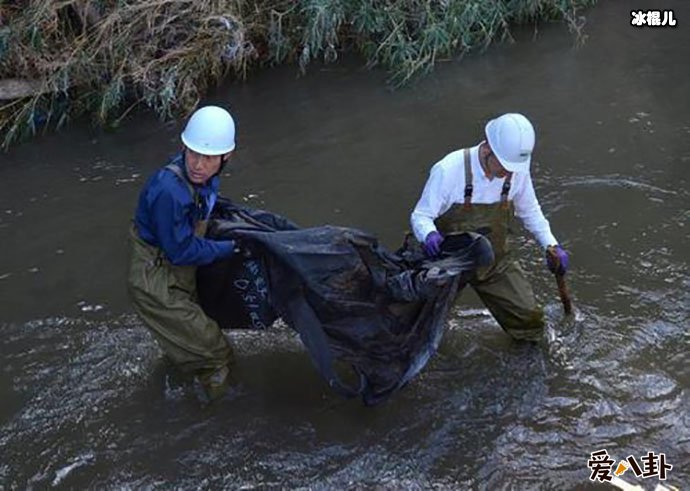 剧毒泄露会造成什么危害