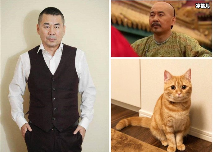 为什么管陈建斌叫胖橘