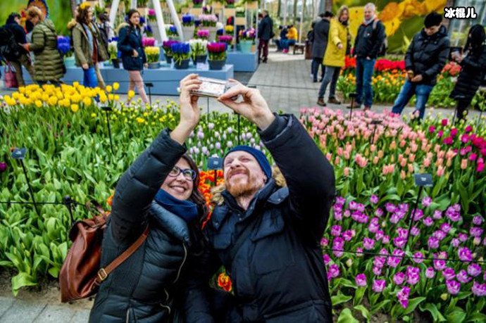 荷兰停止推广旅游