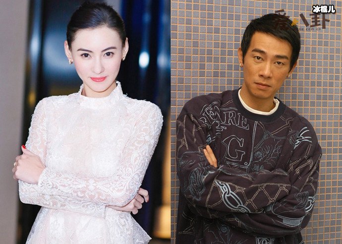 陈小春张柏芝情史