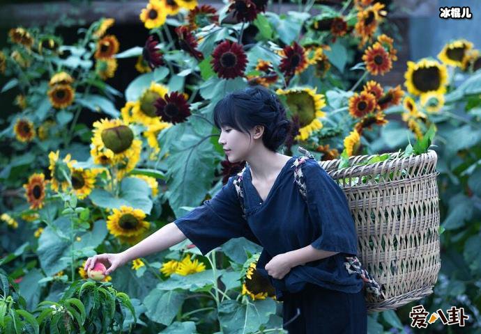 李子柒多大什么学历