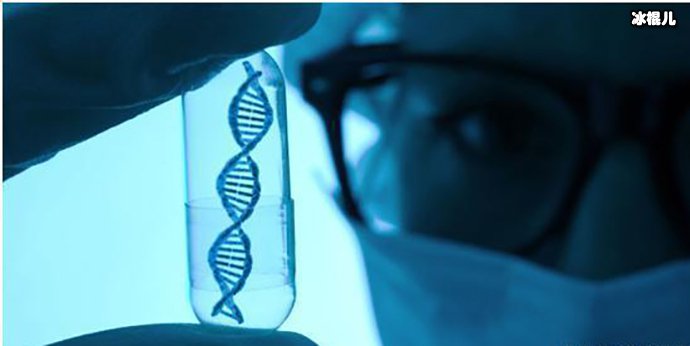 日本研究“人兽杂交胚胎实验”