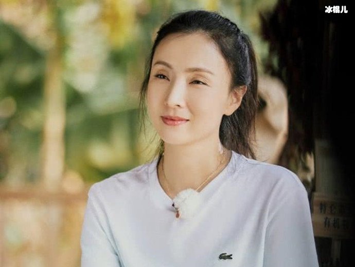 陶虹评价沙溢与胡可