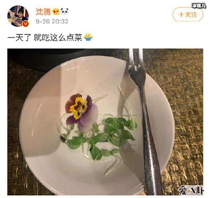 沈腾：一天就吃这么点菜
