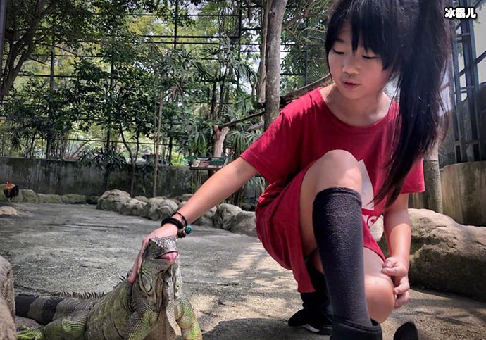 曹格女儿grace近照曝光