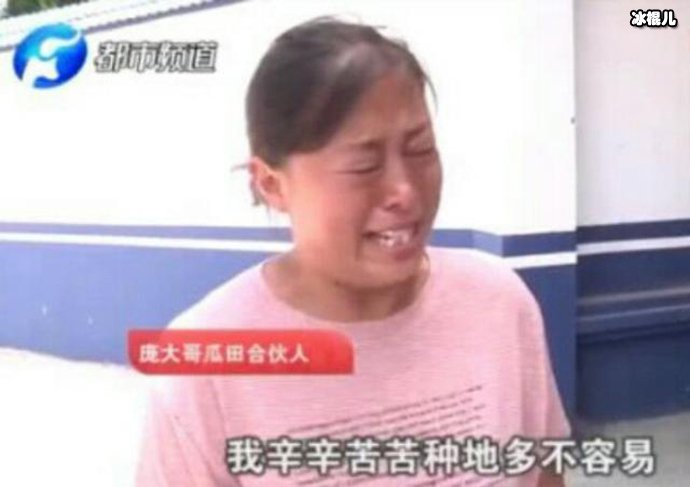 瓜农倒赔偷瓜贼三百元