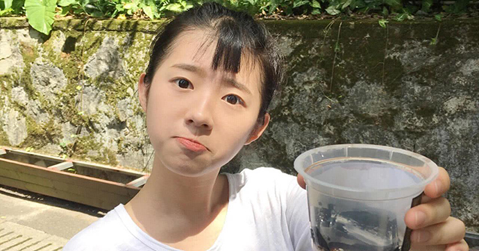 何蓝逗是怎么走红的