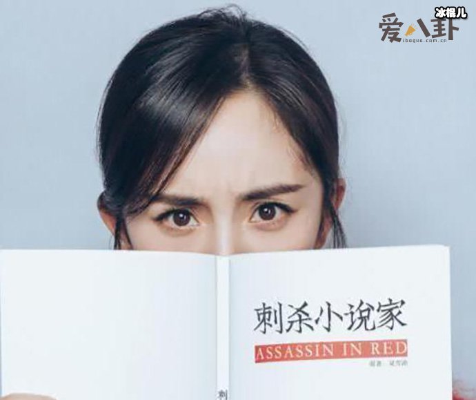 刺杀小说家屠0什么意思