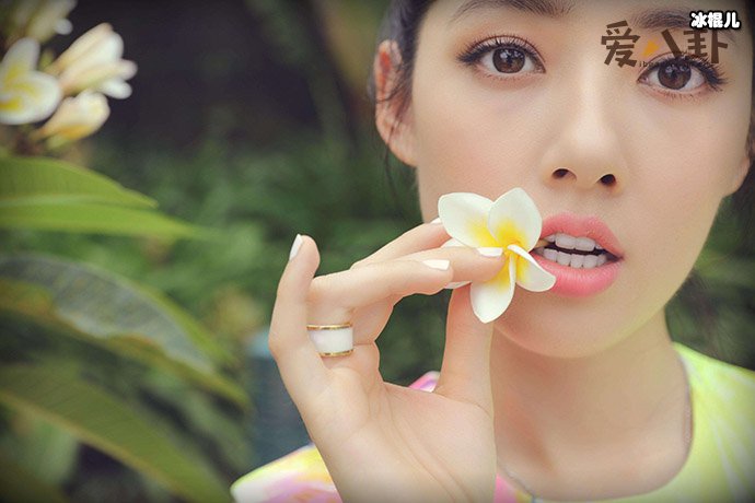 向太和萧敬腾是什么关系