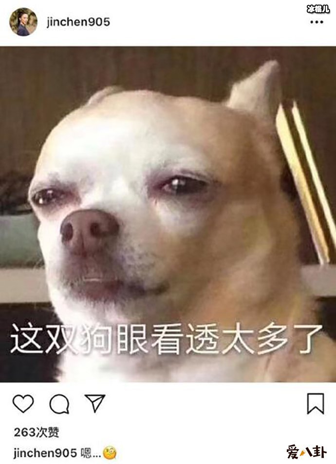 金晨疑似回应与董又霖之间的分手