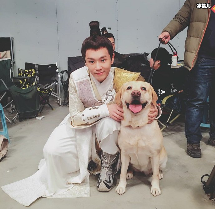 李汶翰和宠物狗的合照