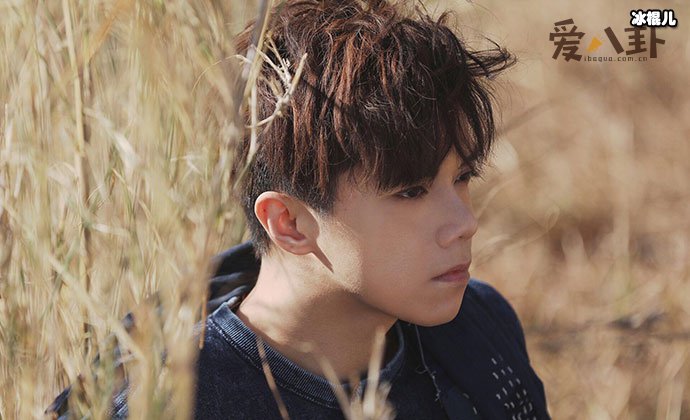 张敬轩个人资料