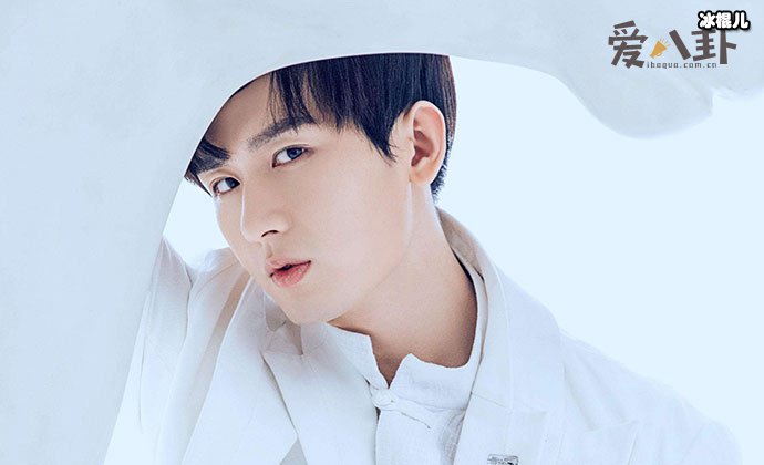 成毅哪个公司的