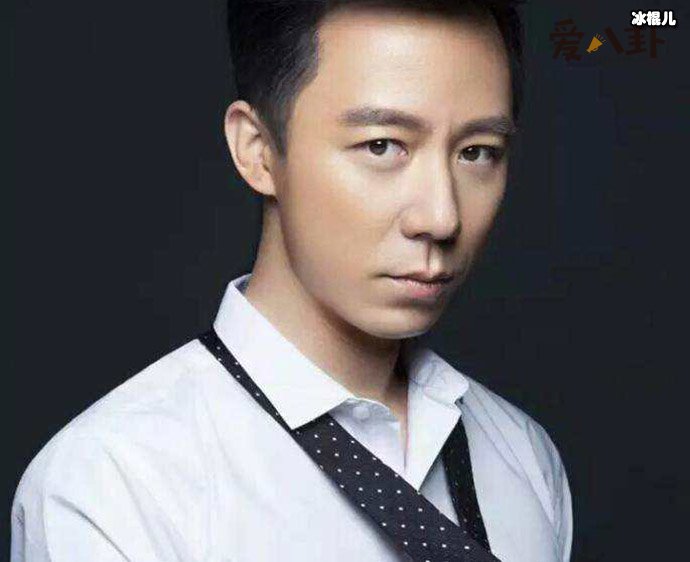 王茂蕾为什么不火