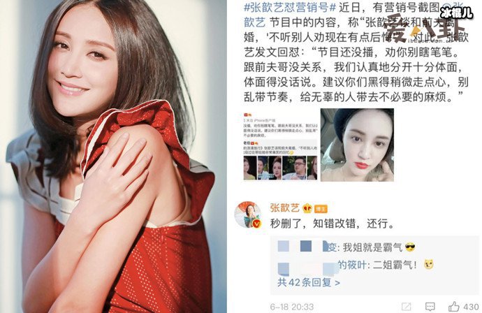 张歆艺回怼营销号