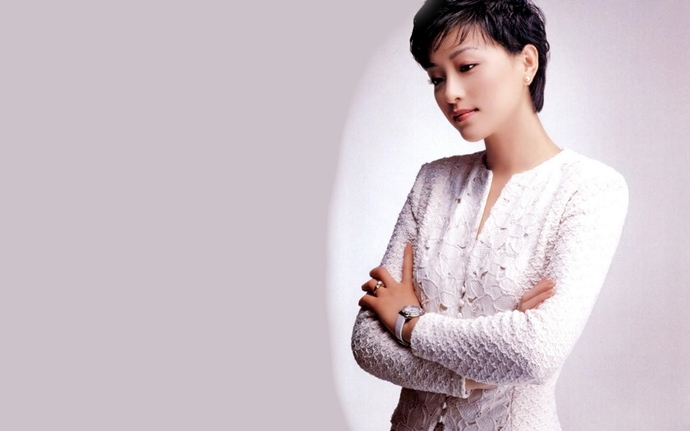 杨澜两段婚姻的故事