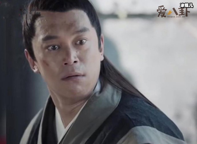 苏文兴是戴向宇主演的吗