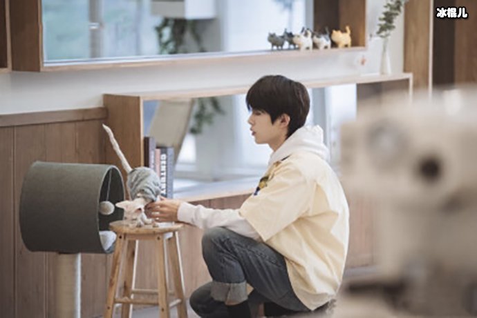 易烊千玺退出朋友请听好第二季 