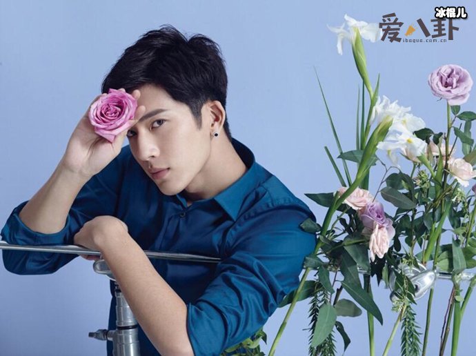 《张公案》正式开机 