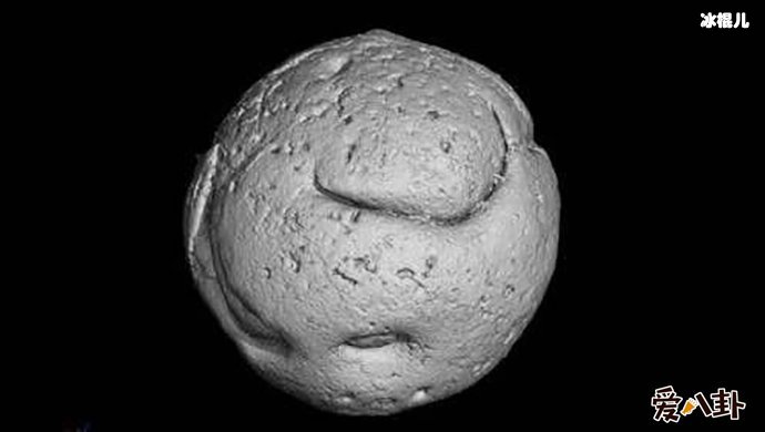 有鸡还是先有蛋