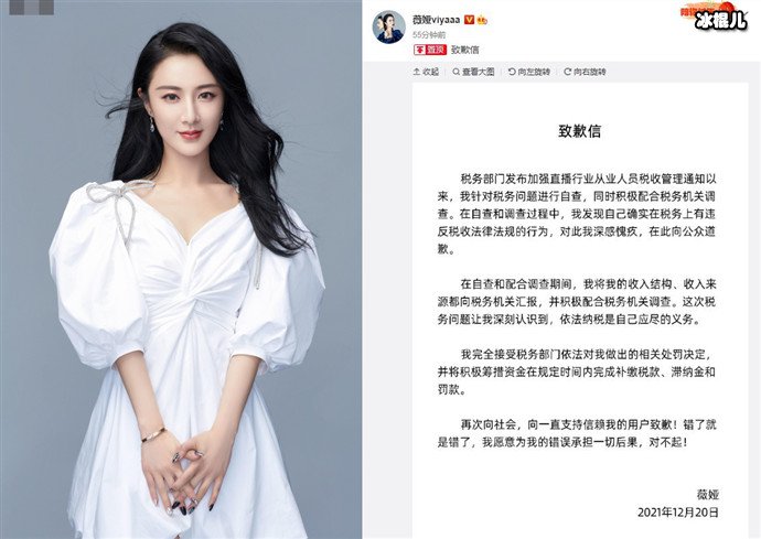 薇娅就偷逃税致歉