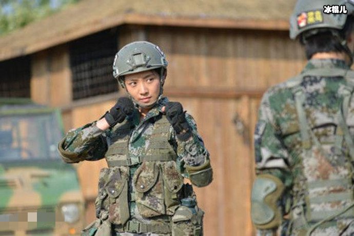 火凤凰叶寸心结局