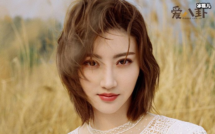 景甜家世多种传闻