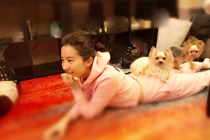 刘亦菲素颜被赞美